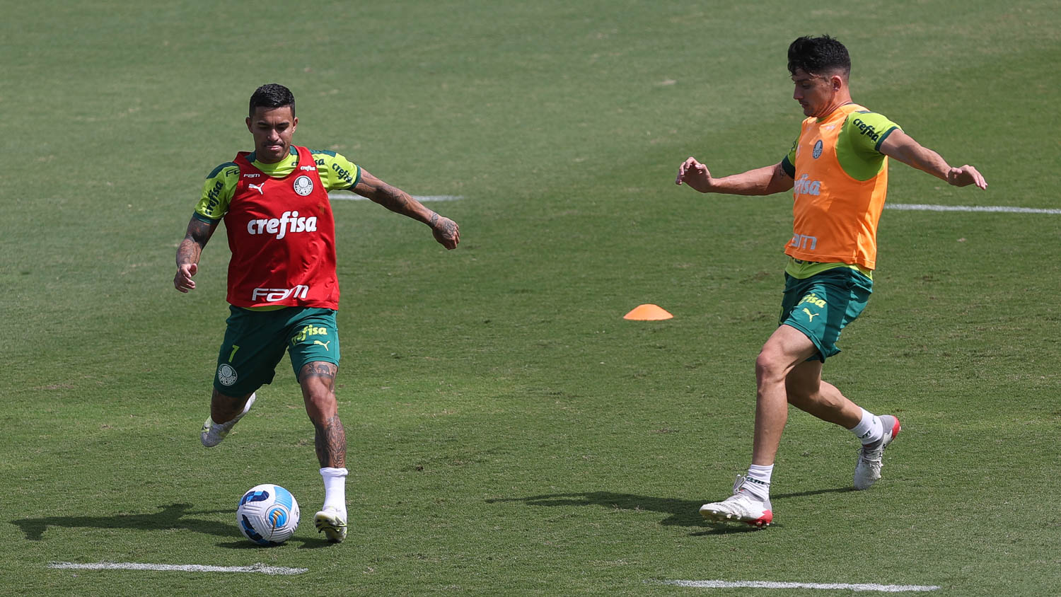Palmeiras x Independiente Petrolero: veja onde assistir ao jogo pela Libertadores - Gazeta Esportiva